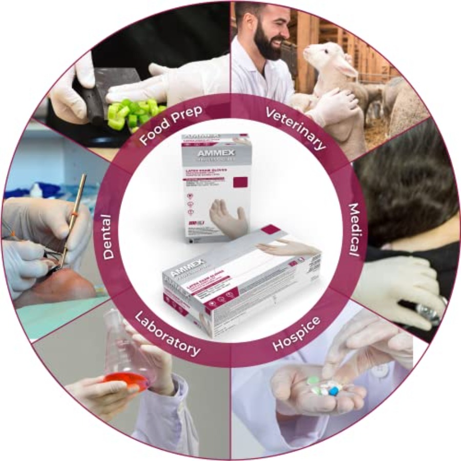 AMMEX White Latex Disposable E - مراجعة Latex Disposable Glove وسعره