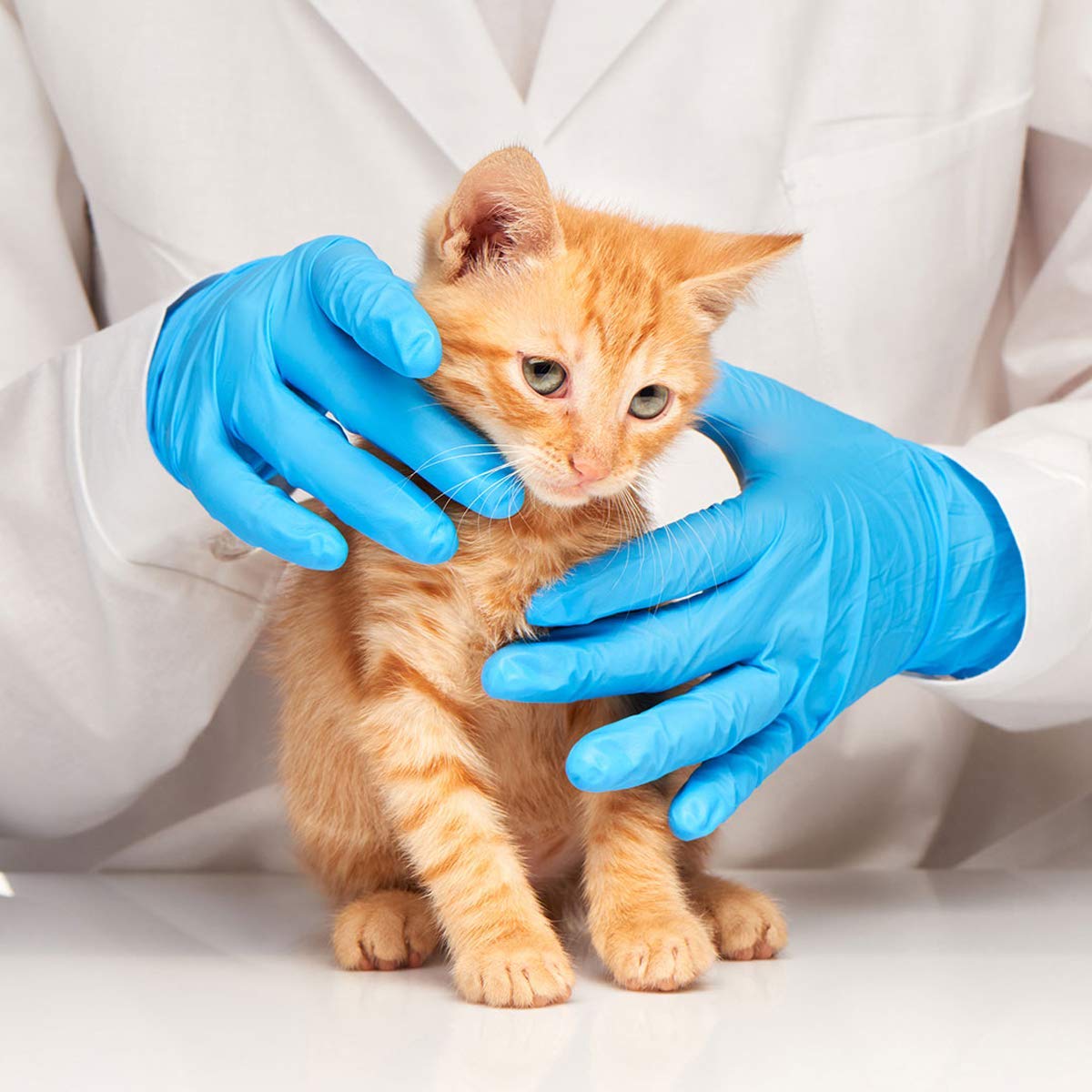 Latex-Free Blue Nitrile Exam G - مراجعة Exam Glove Nitrile وسعره